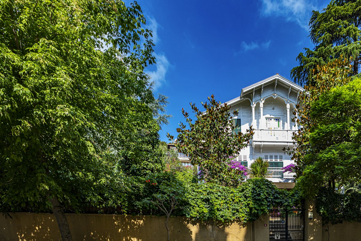 Historic houses and trees in Büyükada, Istanbul
