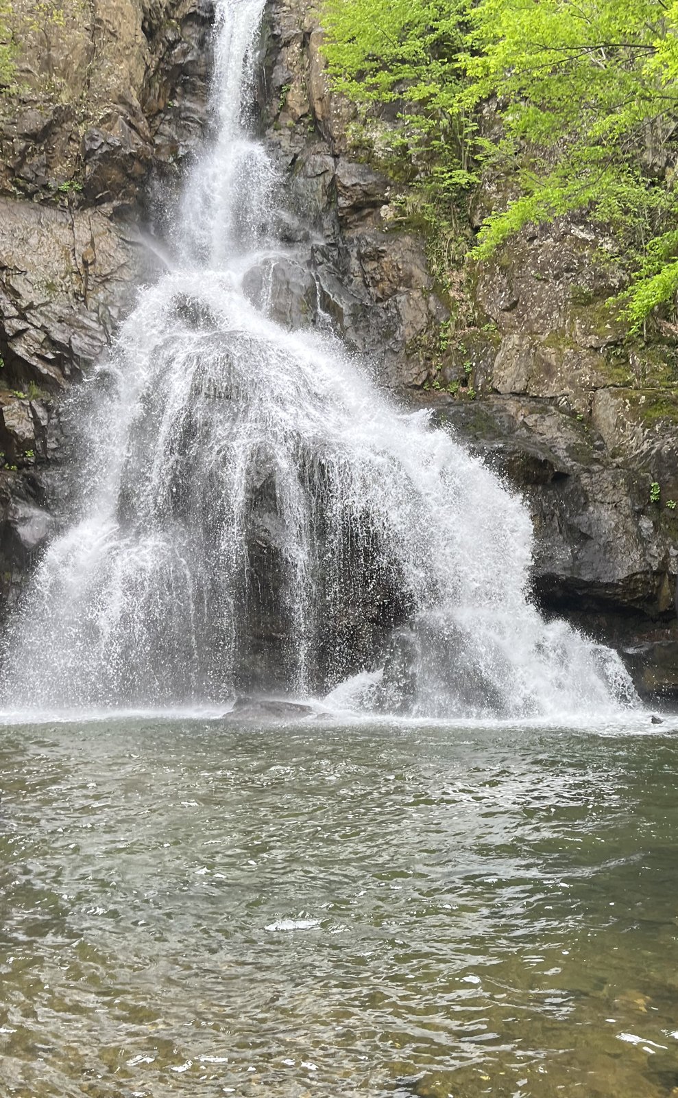 Waterfall dropping into a rocky pool between mossy rocks and fresh green spring leaves